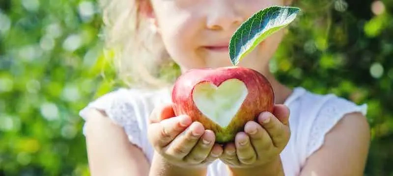 فوائد التفاح لصحة الإنسان