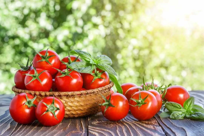 أهم ثلاث فوائد اكل الطماطم للحامل