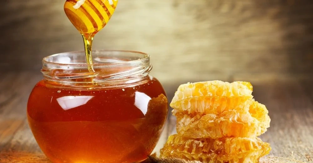 فوائد شمع العسل للقولون | موازنة البكتيريا المعوية