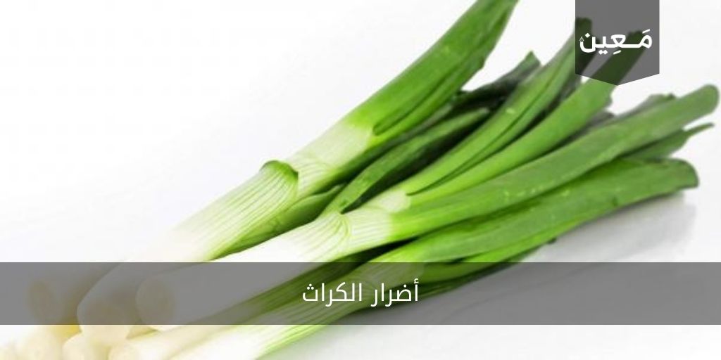 الفرق بين الكراث والبصل الاخضر