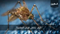 هل تعلم كيف ينتقل مرض الملاريا؟