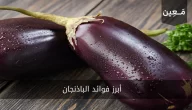 فوائد البادنجان مع ذكر أفضل طرق طبخه