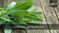 تعرف على أضرار المرمية على صحة الإنسان