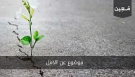 موضوع عن الامل مع مقولات وحكم