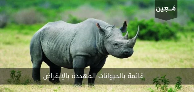 حيوانات مهددة بالانقراض | أبرز 16 حيوان