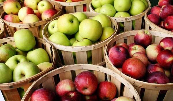 كيفية معرفة نوعية التفاح الجيد