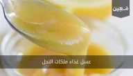 عسل غذاء ملكات النحل | حقائق ستجعلك لا تسنغني عنه!