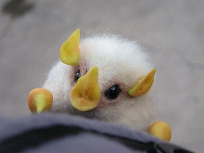 خفاش هندوراس الأبيض
