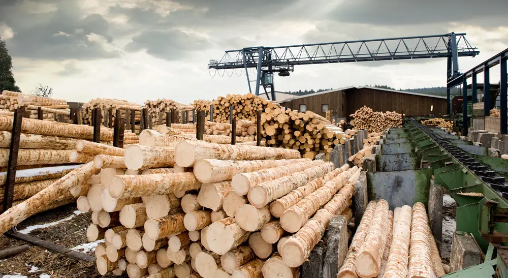 أنواع الصناعات التحويلية مثل صناعة الخشب والورق