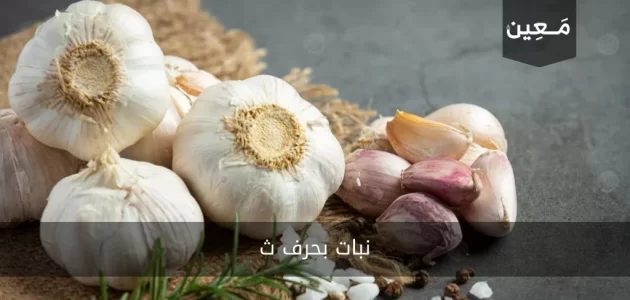 نبات بحرف ث |مجموعة من النباتات بحرف الثاء