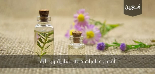 أفضل عطورات درعه نسائية ورجالية 2023