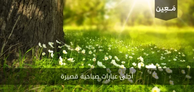 أحلى عبارات صباحية قصيرة 2023