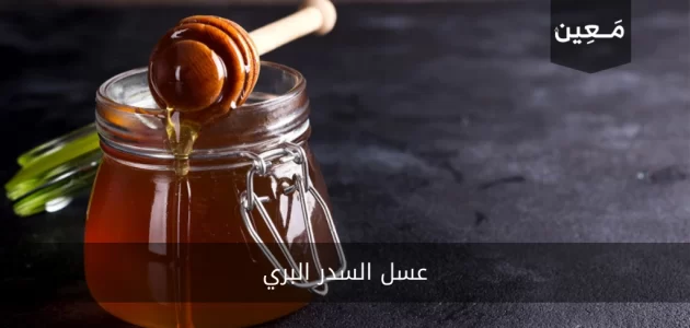 عسل السدر البري | حقائق ومعلومات ستسمعها لأول مرة