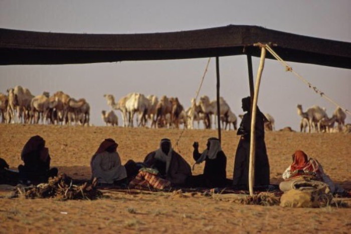 الرشيدي وش يرجع