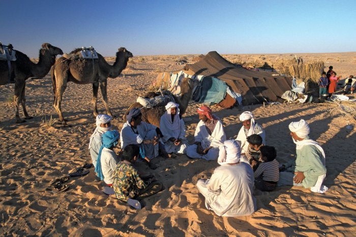 الرشيدي وش يرجع