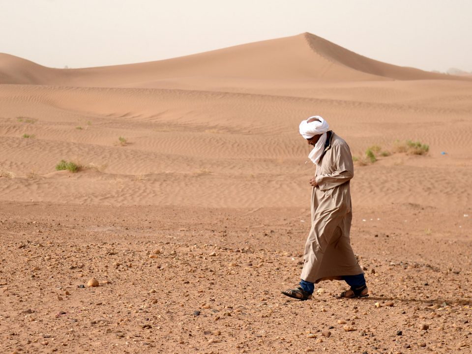 المطرفي وش يرجع