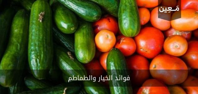 فوائد الخيار والطماطم | فوائد جمّة احرص على نيلها