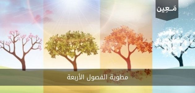 مطوية الفصول الأربعة | مطويات رائعة وغنية بالمعلومات