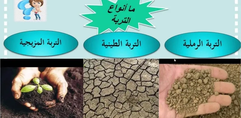 مطوية علوم ثالث ابتدائي التربة